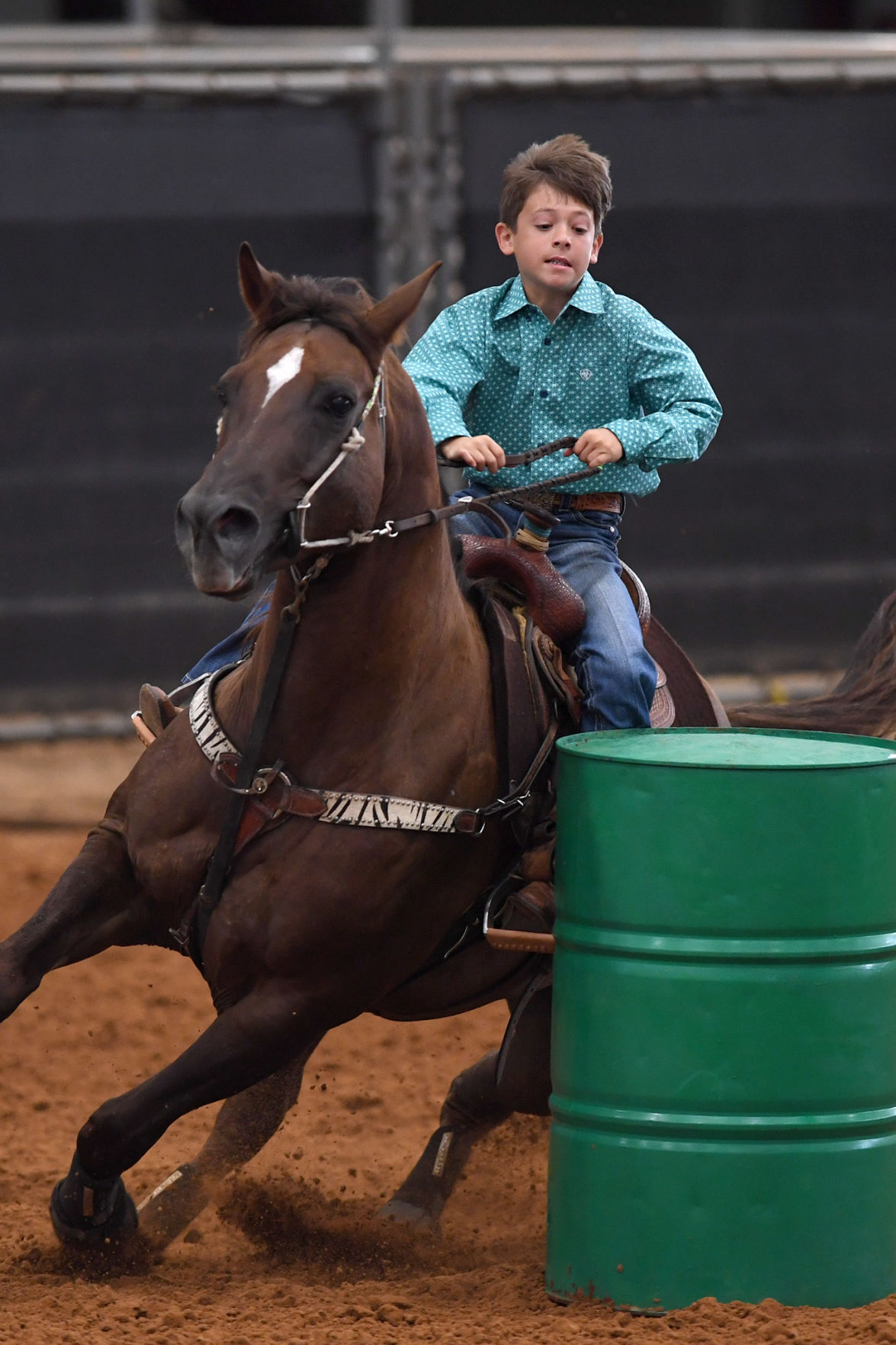 Texas State 4-H Horse Show